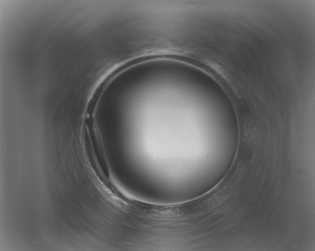 X0000060741460200511101055