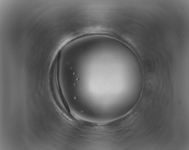 X0000060741463200511101055