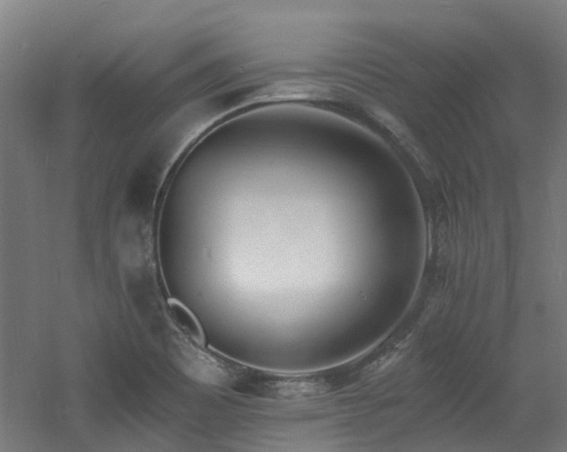 X0000060741465200511101055