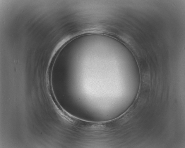 X0000060741466200511101055