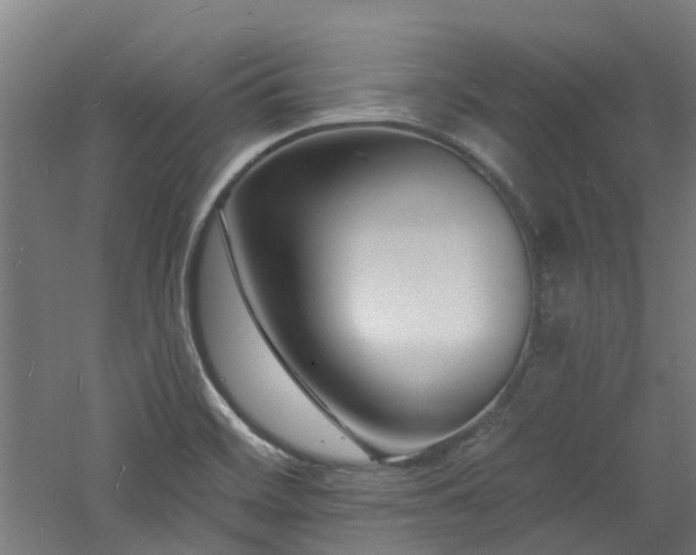 X0000060741468200511101055