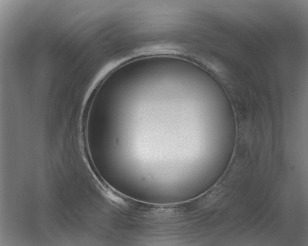 X0000060741470200511101055