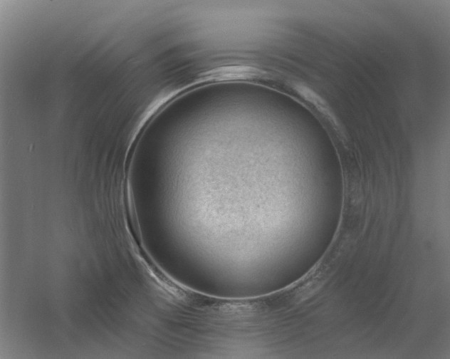 X0000060741473200511101055