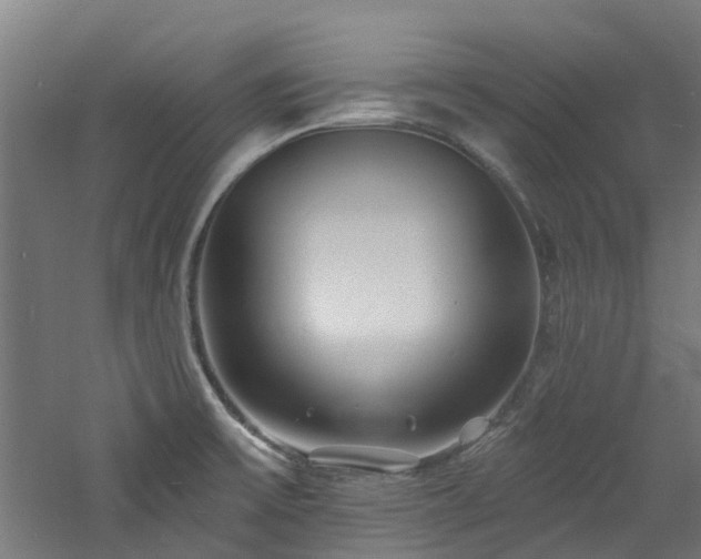 X0000060741475200511101055