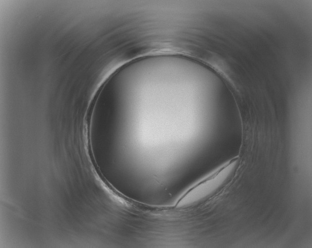 X0000060741476200511101055