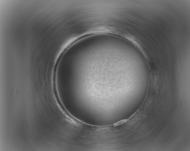 X0000060741477200511101055