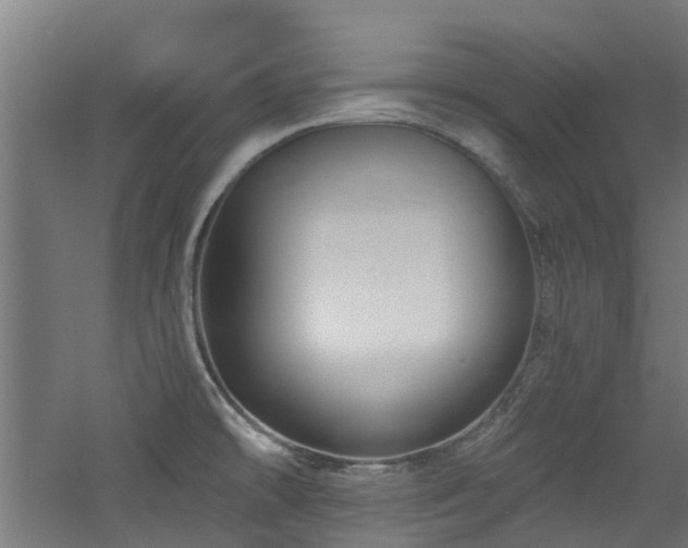 X0000060741478200511101055