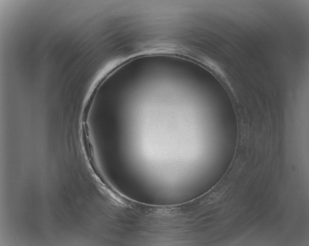 X0000060741480200511101055