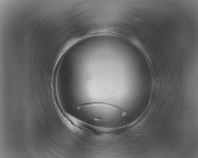 X0000060741482200511101055