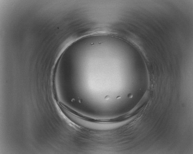 X0000060741483200511101055