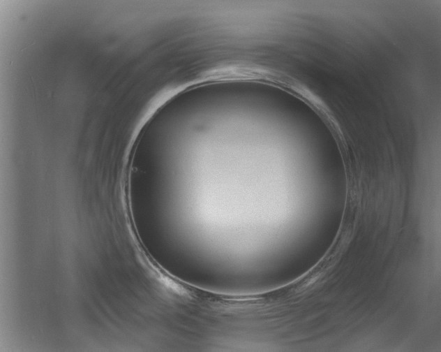 X0000060741486200511101055