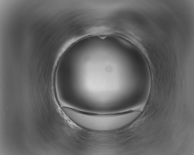 X0000060741488200511101055