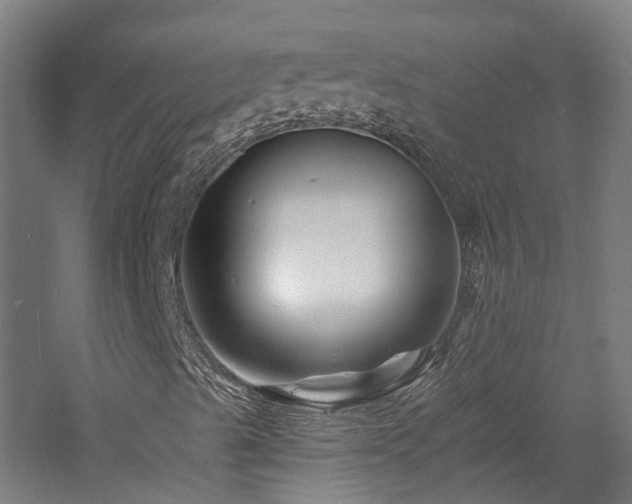 X0000060741489200511101054