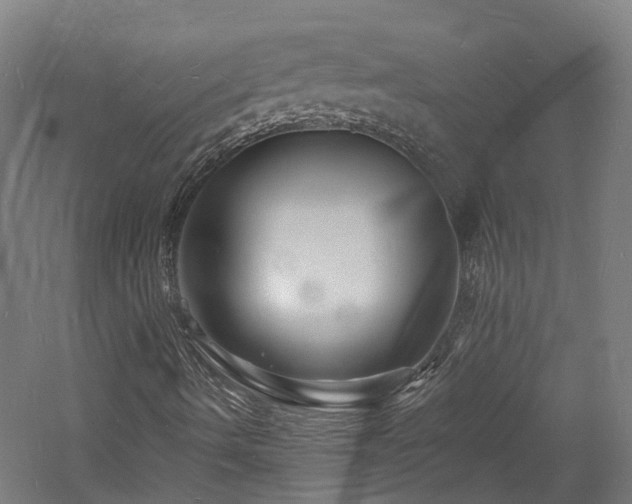 X0000060741490200511101054