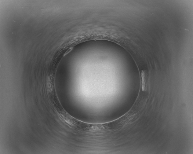 X0000060741491200511101054