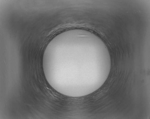 X0000060741492200511101054