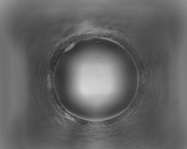 X0000060741493200511101054