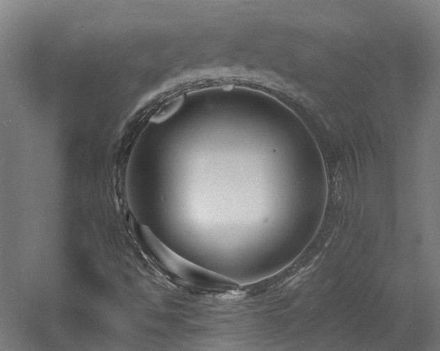 X0000060741494200511101054