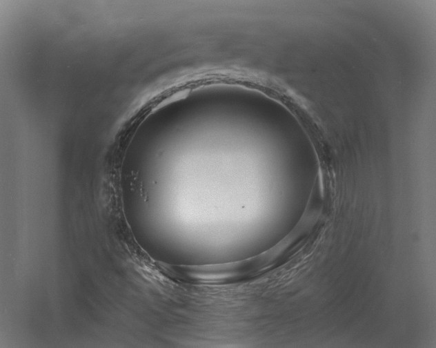 X0000060741496200511101054