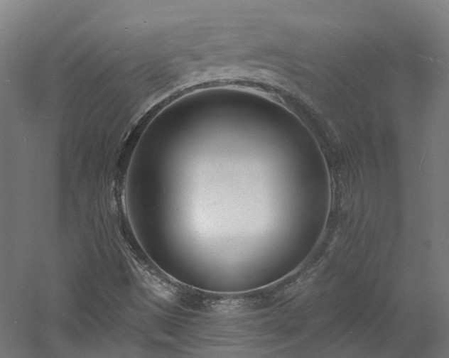 X0000060741497200511101054