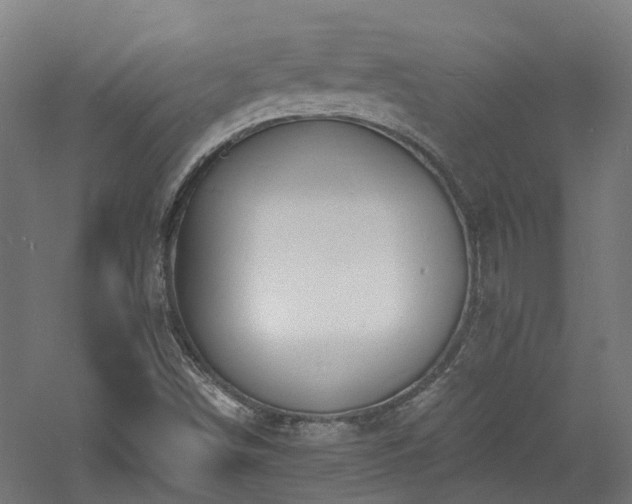 X0000060741498200511101054