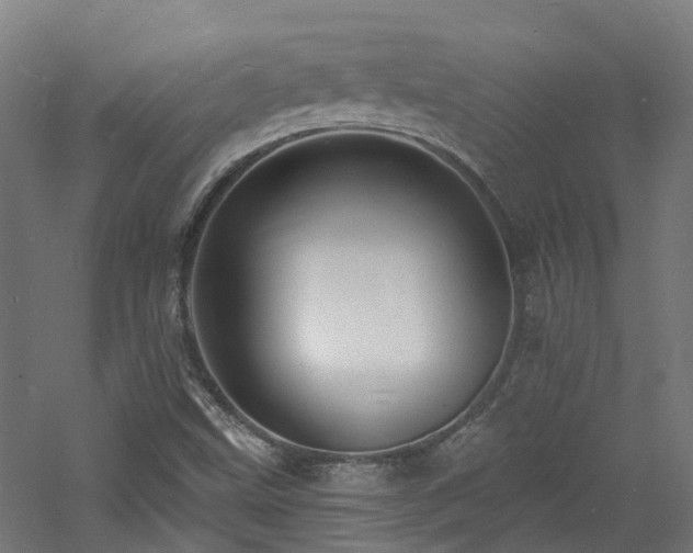 X0000060741499200511101054