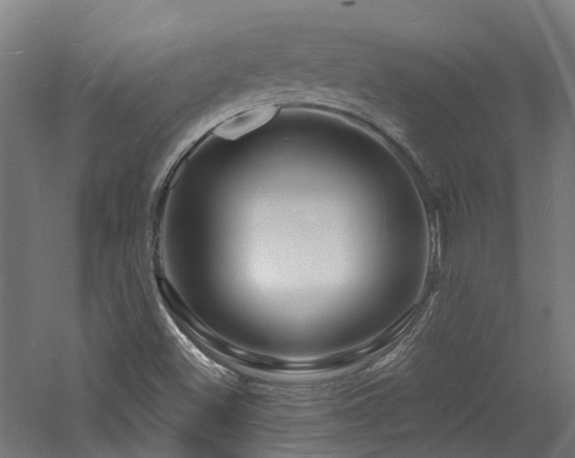 X0000060741500200511101054