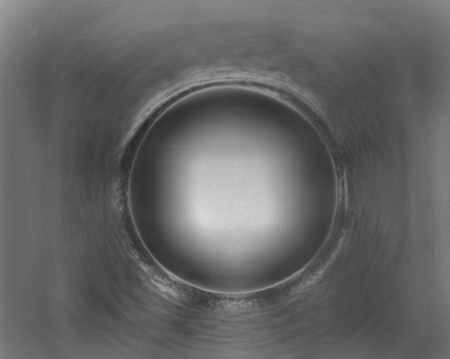 X0000060741501200511101054