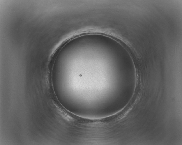 X0000060741502200511101054