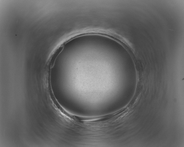 X0000060741504200511101054