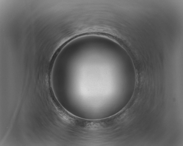 X0000060741505200511101054