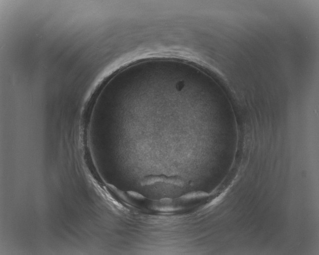 X0000060741506200511101054