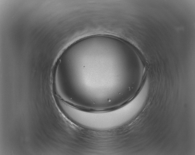 X0000060741508200511101054