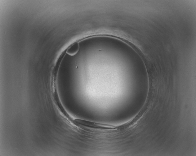 X0000060741510200511101054