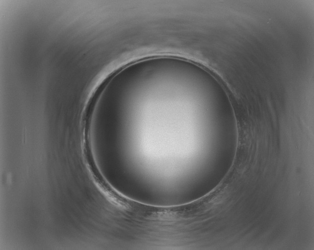 X0000060741511200511101054