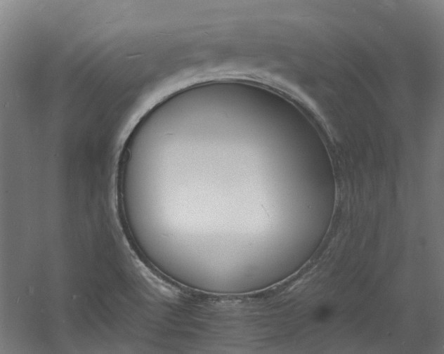 X0000060741512200511101054