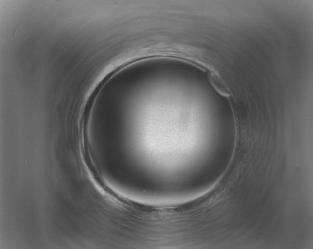 X0000060741515200511101054