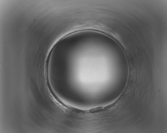 X0000060741516200511101054