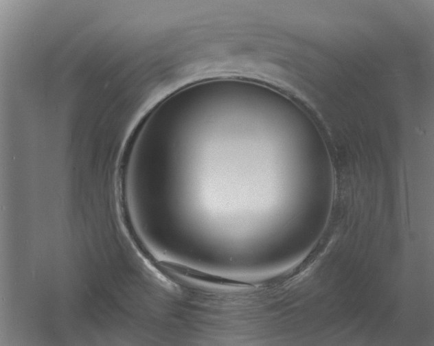 X0000060741517200511101054