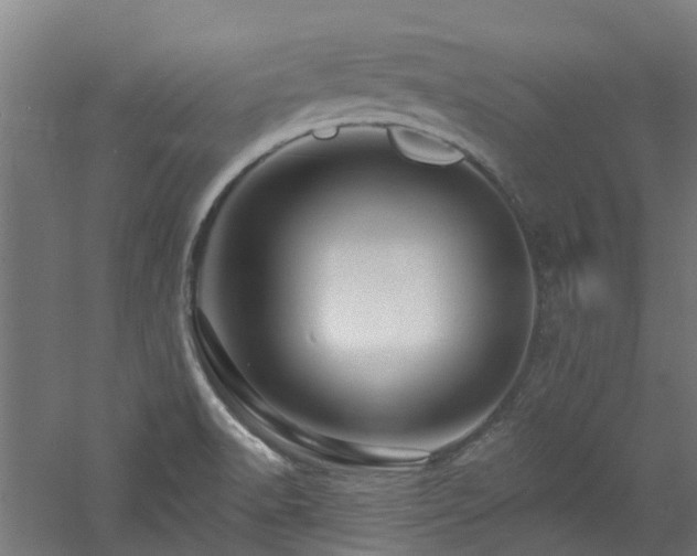 X0000060741518200511101054