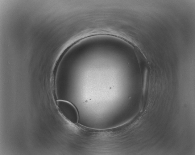 X0000060741519200511101054