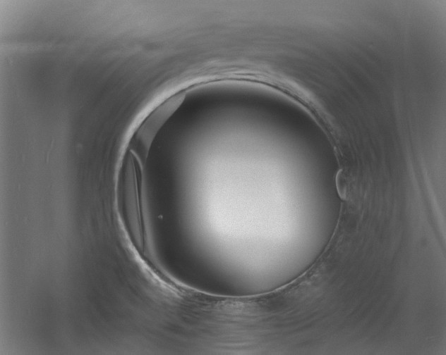 X0000060741520200511101054