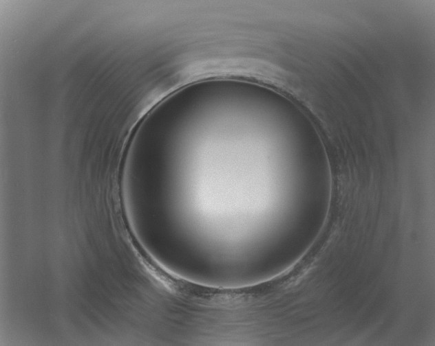 X0000060741521200511101054