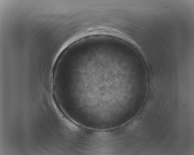 X0000060741522200511101054