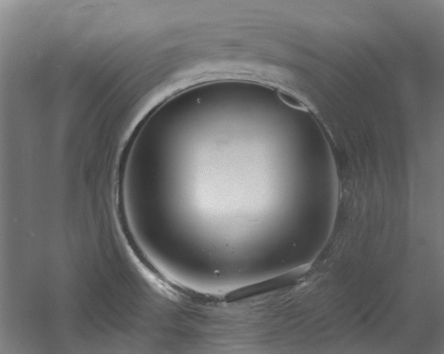 X0000060741523200511101054