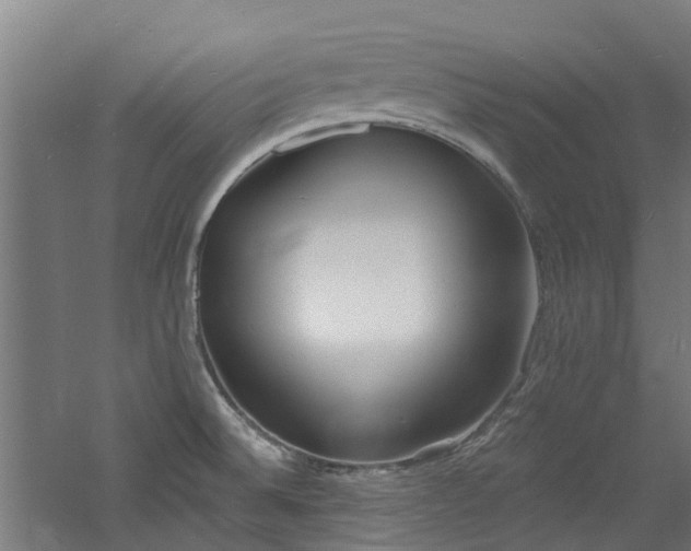 X0000060741524200511101054