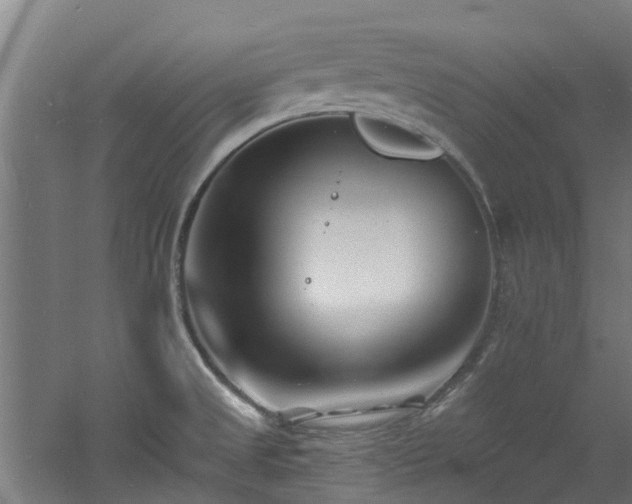 X0000060741525200511101054