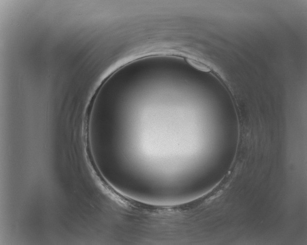 X0000060741526200511101054