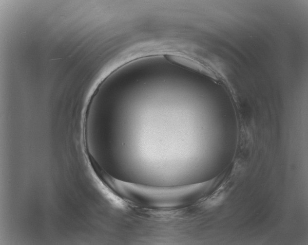 X0000060741528200511101054