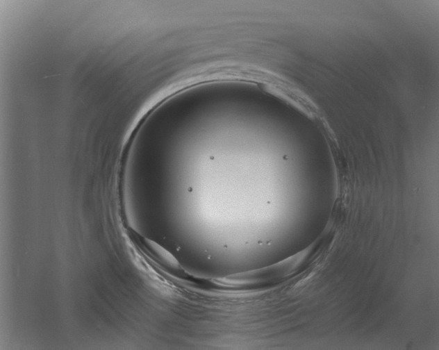 X0000060741530200511101055